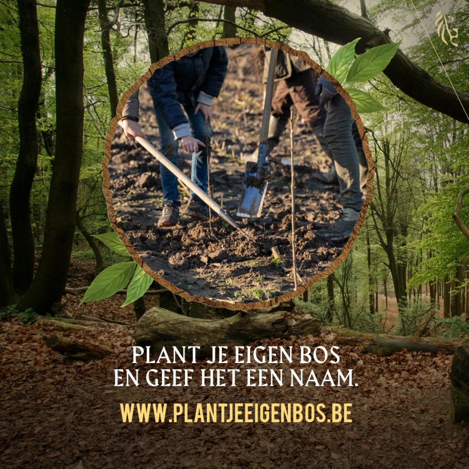 Plant je eigen bos